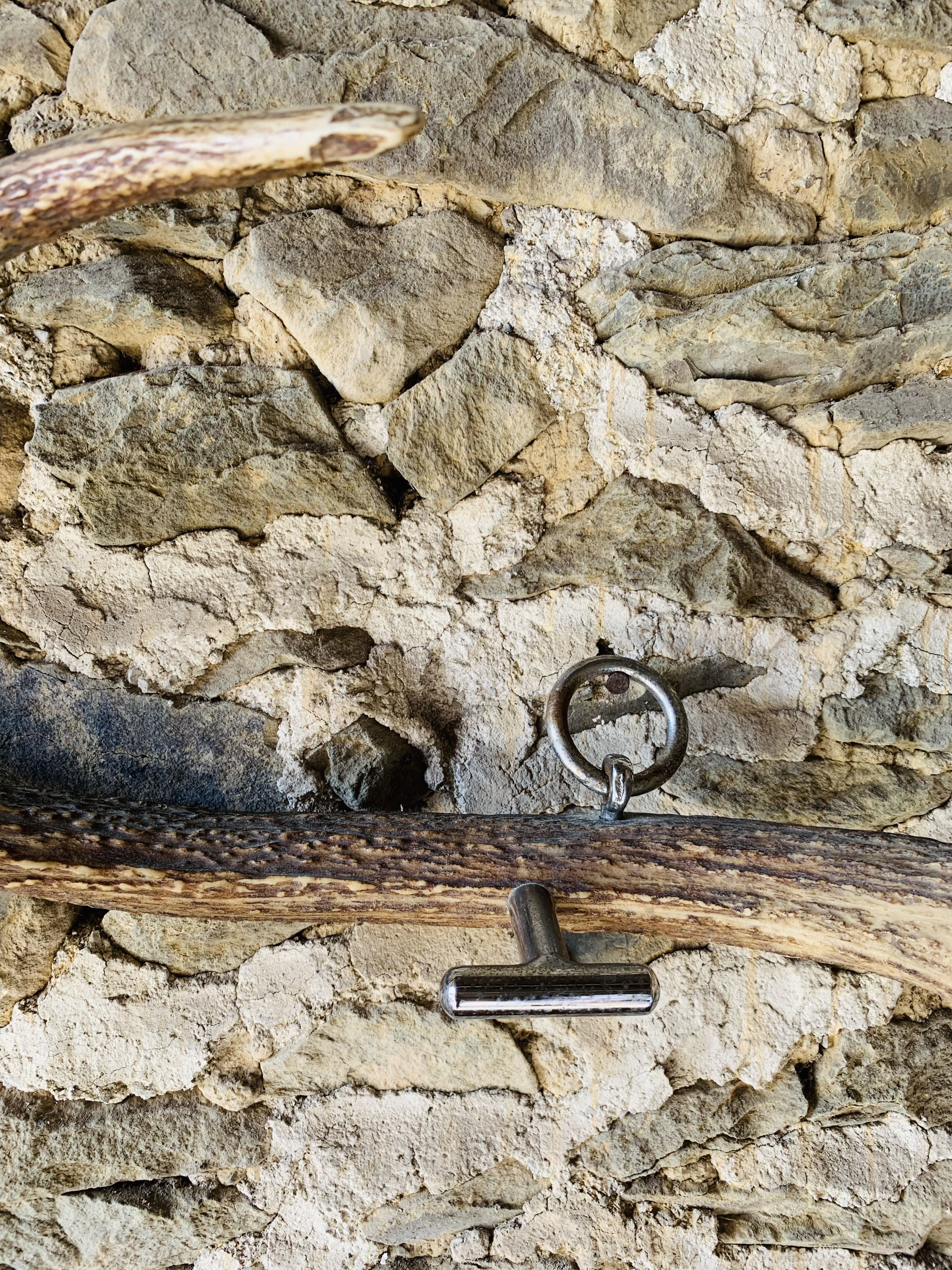 Deer antler coat rack 3 hooks