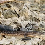 Deer antler coat rack 3 hooks