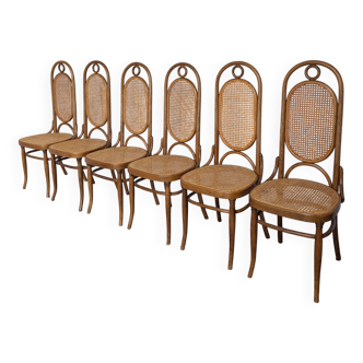 Set of 6 Vintage Bentwood Cane Dining Chair, Thonet Style, 1970s Yugoslavia