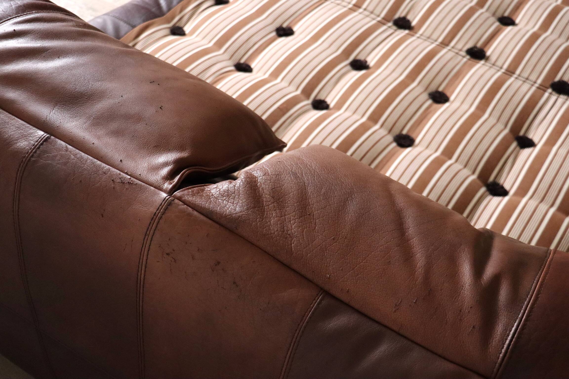 Le Bambole Bed In Buffalo Leather By Mario Bellini For B&B Italia, 1970s