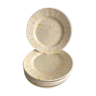 Set of 6 dessert plates