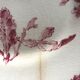 Set of 4 flat plates in Gien porcelain