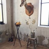 Support sculpture or tripod plants