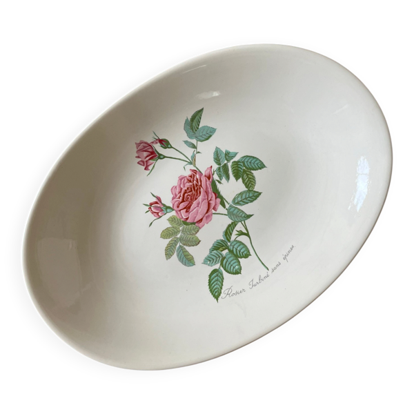 Plat faïence Salins - Rose de Redouté