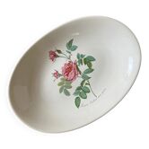 Salins earthenware plate - Rose of Redouté