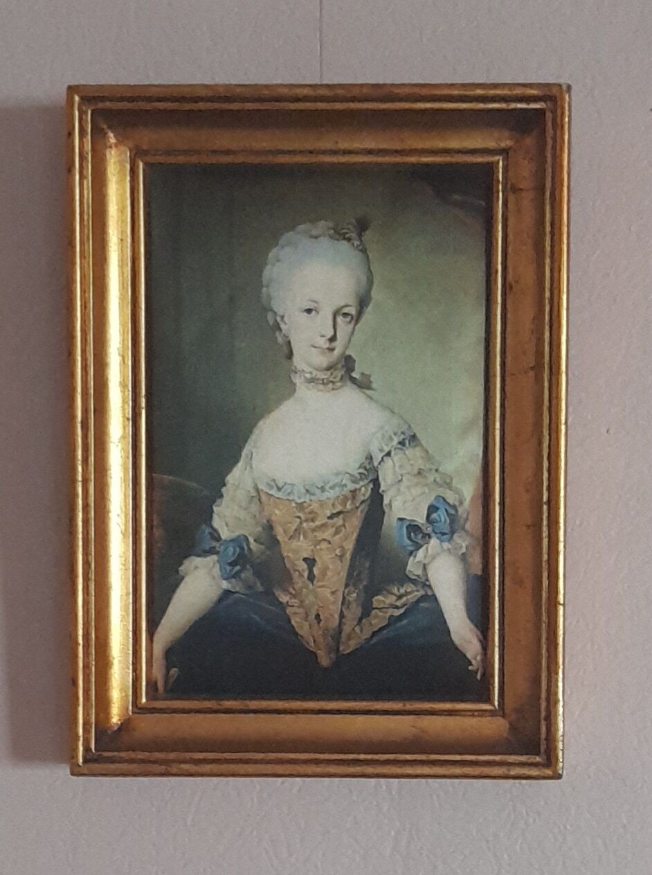 Gilded frame in fine gold, fabric portrait Marie Josephe of Austria, (13 cm x 18 cm)