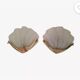 2 shell sconces