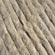 Lyla - Thick Berber Mrirt Moroccan rug in wool 210×300 cm