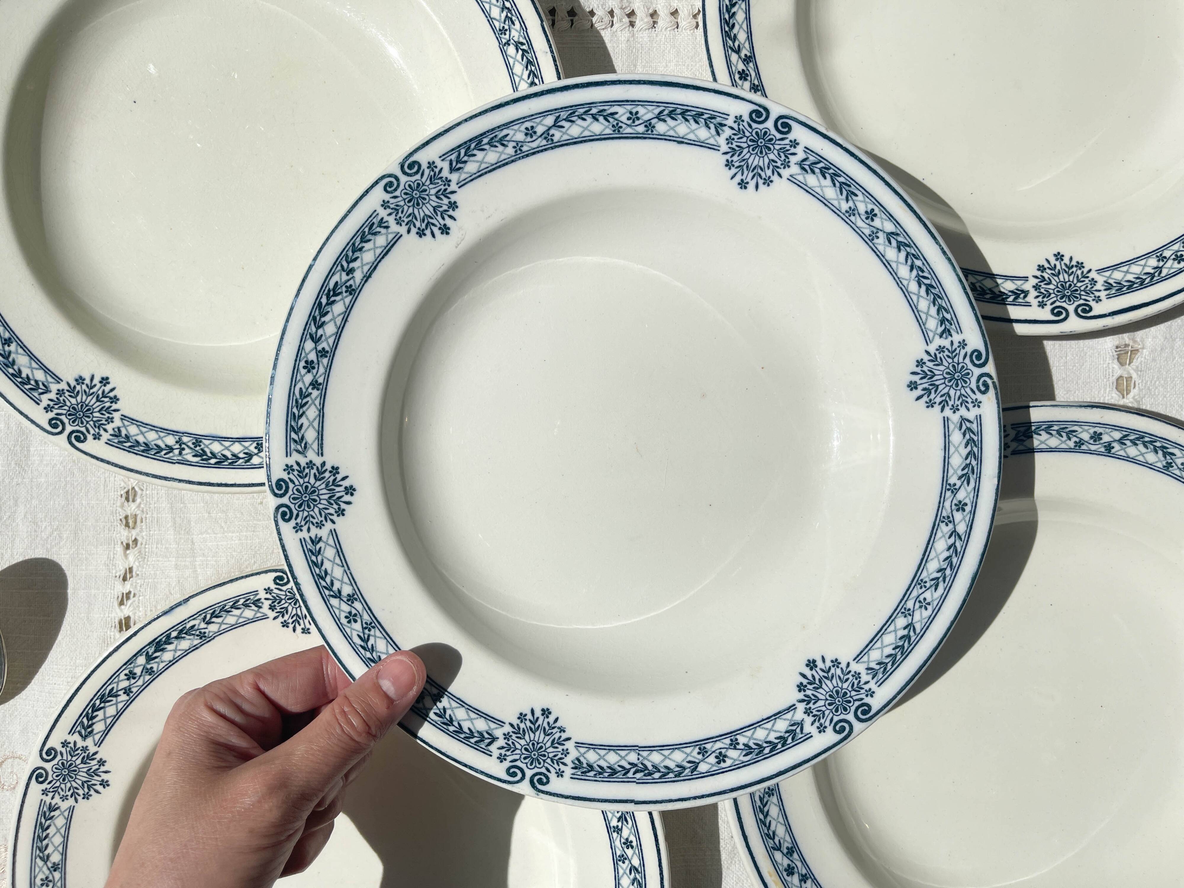 5 Deep plates in blue ironstone Salins, Arbois Ennege model