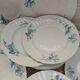 12 antique ironstone dinner plates