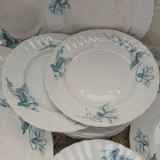 12 assiettes plates anciennes en Terre de fer 