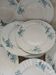 12 antique ironstone dinner plates