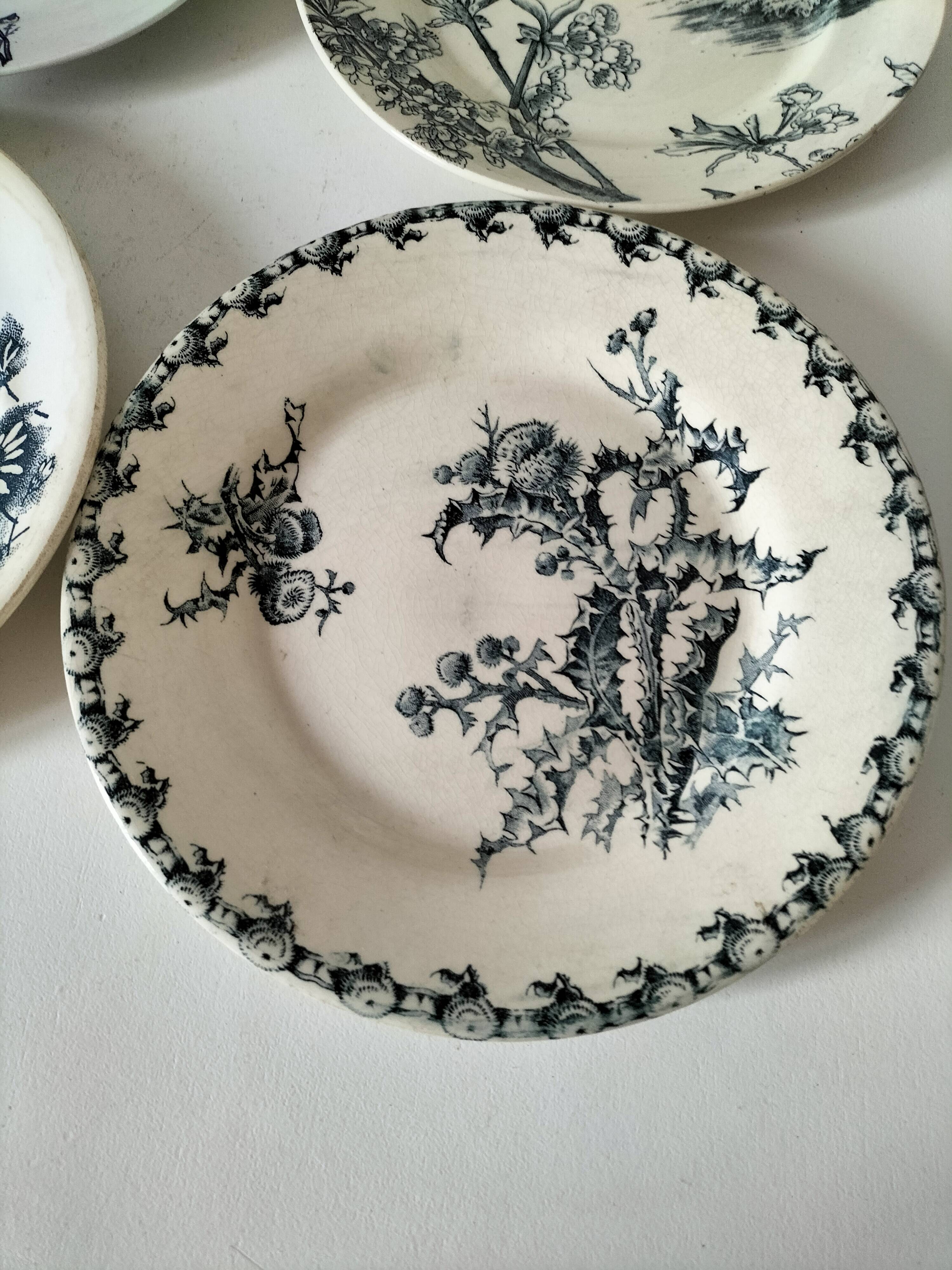 Set of 6 ironstone plates in shades of blue, late 19th to early 20th century.