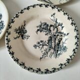 Set of 6 ironstone plates in shades of blue, late 19th to early 20th century.