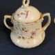 Beautiful sugar bowl in fine Limoges porcelain from the late 19th to early 20th century.