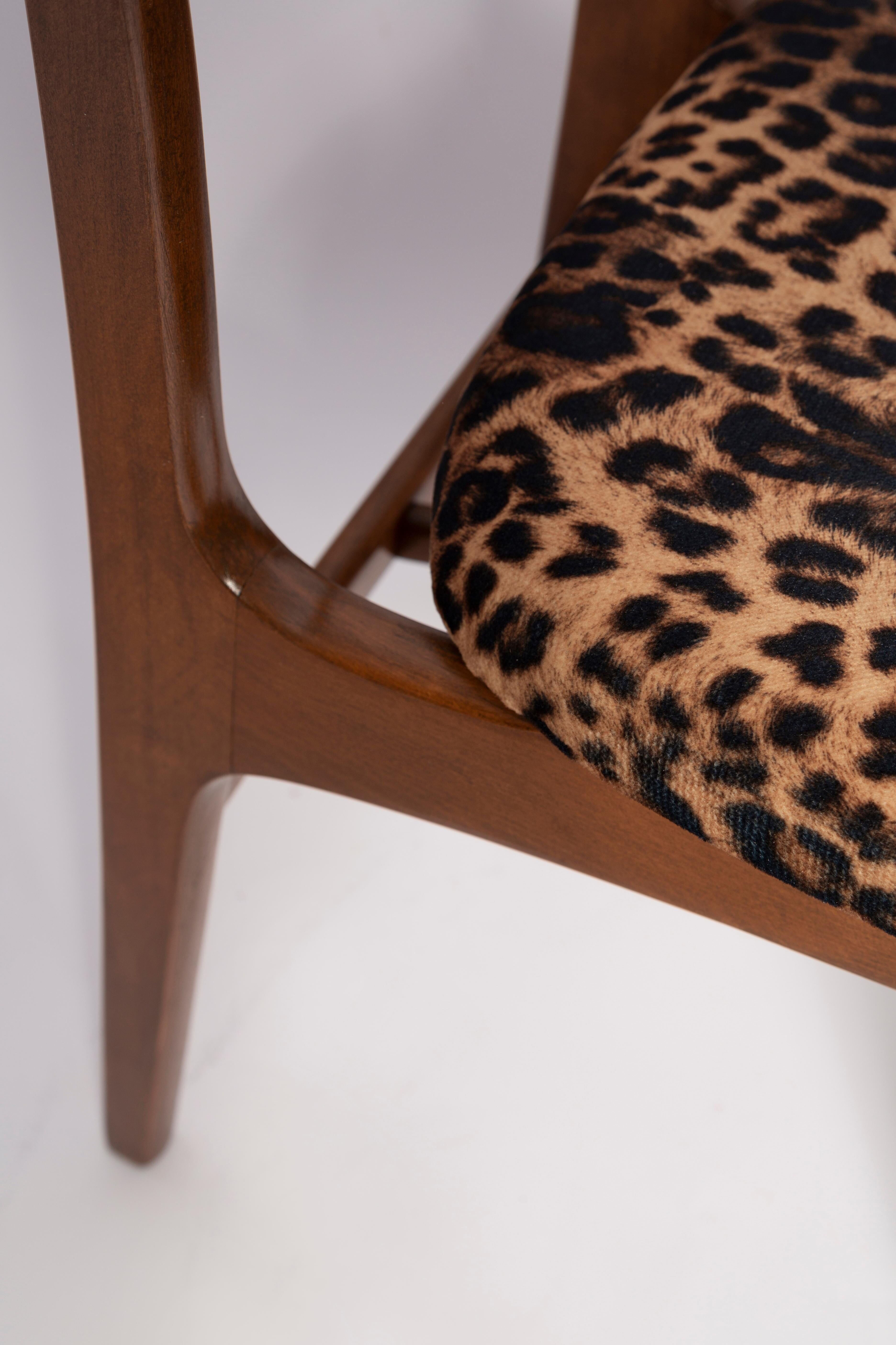 Mid-century leopard velvet chair, walnut wood, Rajmund Halas, Poland, 1960s