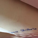 Canvas Métisse Blue Flower 448 - 7 meters