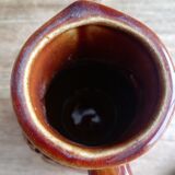 Pitcher grape vine grape cluster borneier belgium with cork stopper