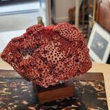 Red coral