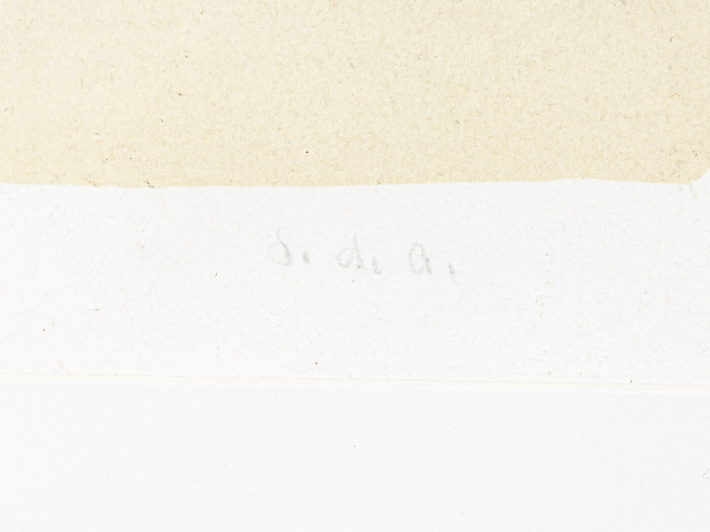 Naked Rider, Colour Lithograph on Paper, 63 x 88 cm