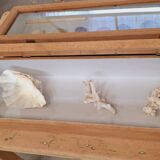 Old display case