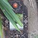 Ancient brutalist oriental wooden mirror 23x53cm