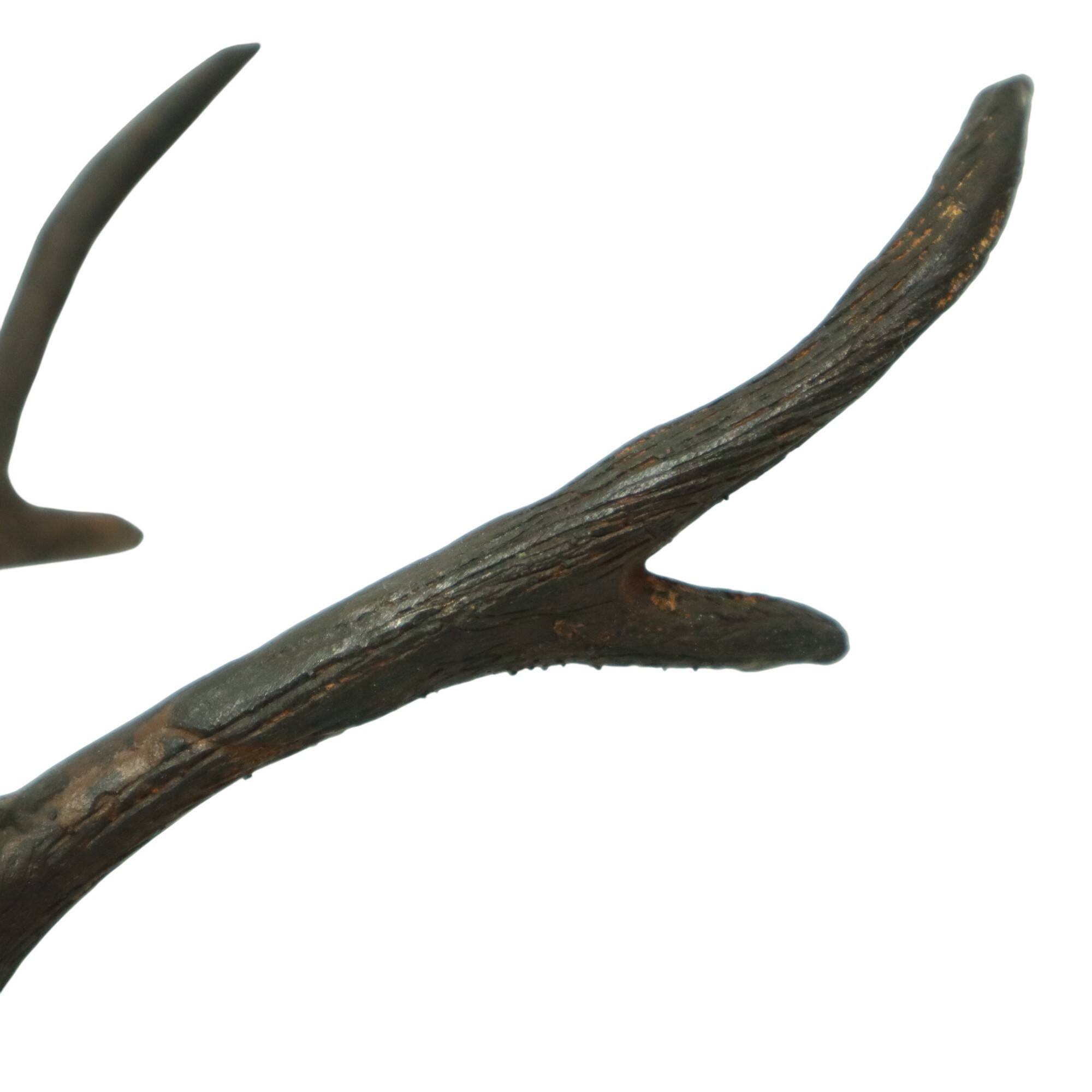 Vintage Bronze Sculpture Reclining Deer Sarreid Ltd 32cm