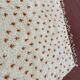 Authentic Beni Ouarain Rug 3.3x2.3M Unbleached Wool with Terracotta Patterns