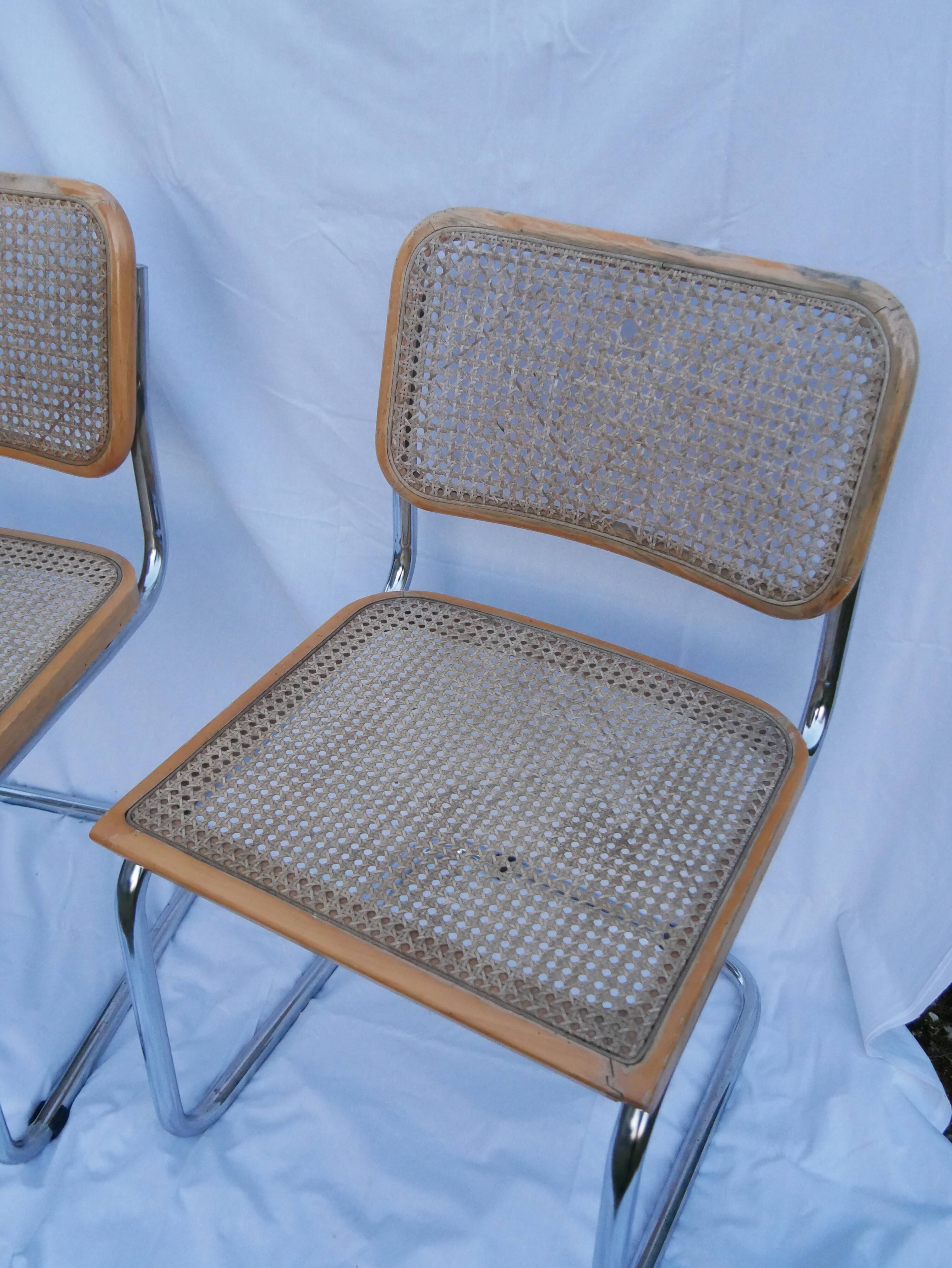 Duo of chaises Marcel Breuer model cesca b32 beech