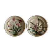 Paire d'assiettes murales mi 19e faïence fine Minton à fleurs