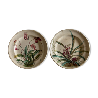 Pair of wall plates mid 19th fine earthenware Minton with flowers