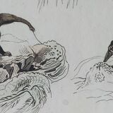 Original zoological plate " little grey of siberia, palmiste,... - buffon 1838