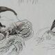 Original zoological plate "Siberian grey heron, palm tree,... - Buffon 1838