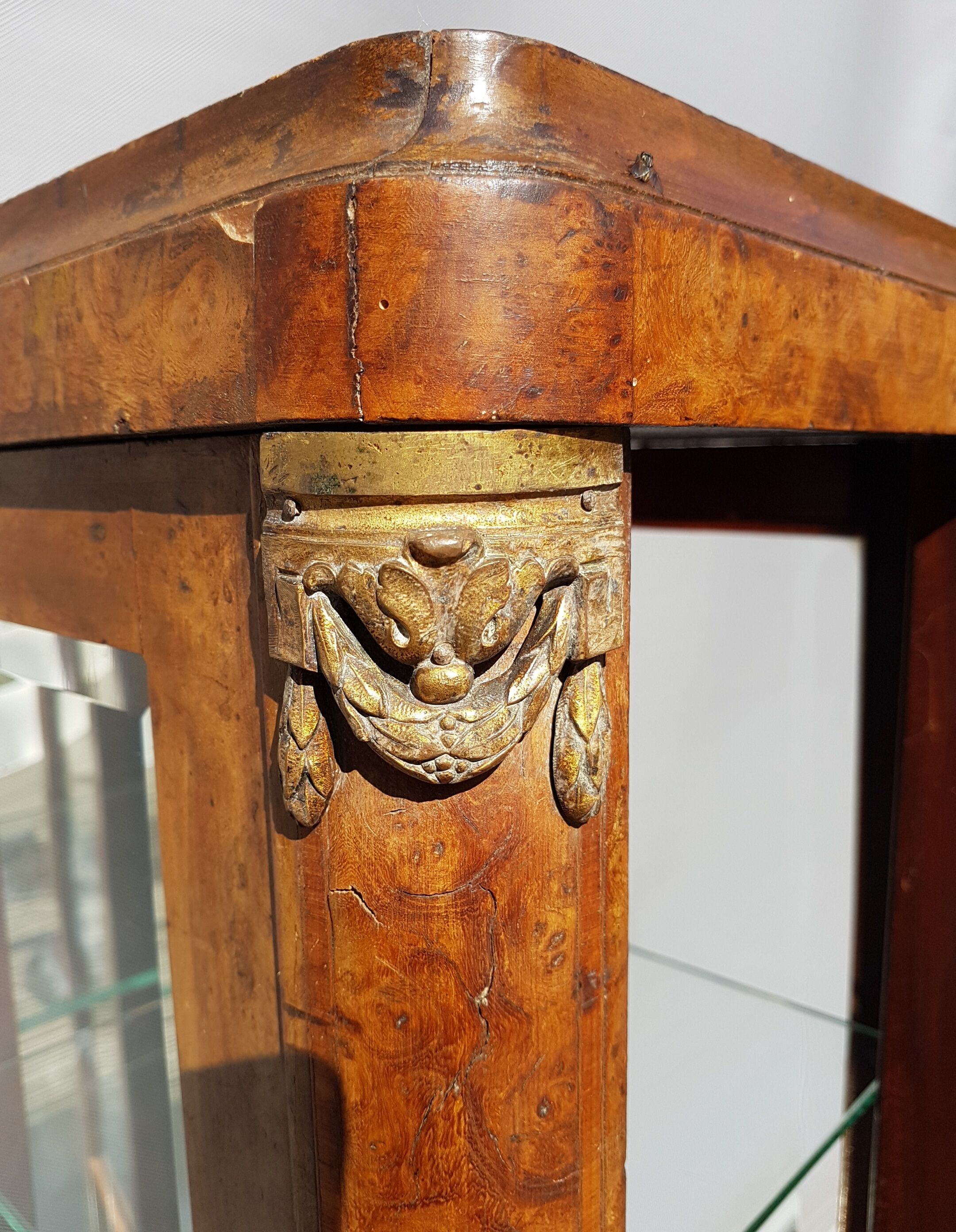 Curiosity cabinet showcase 1900