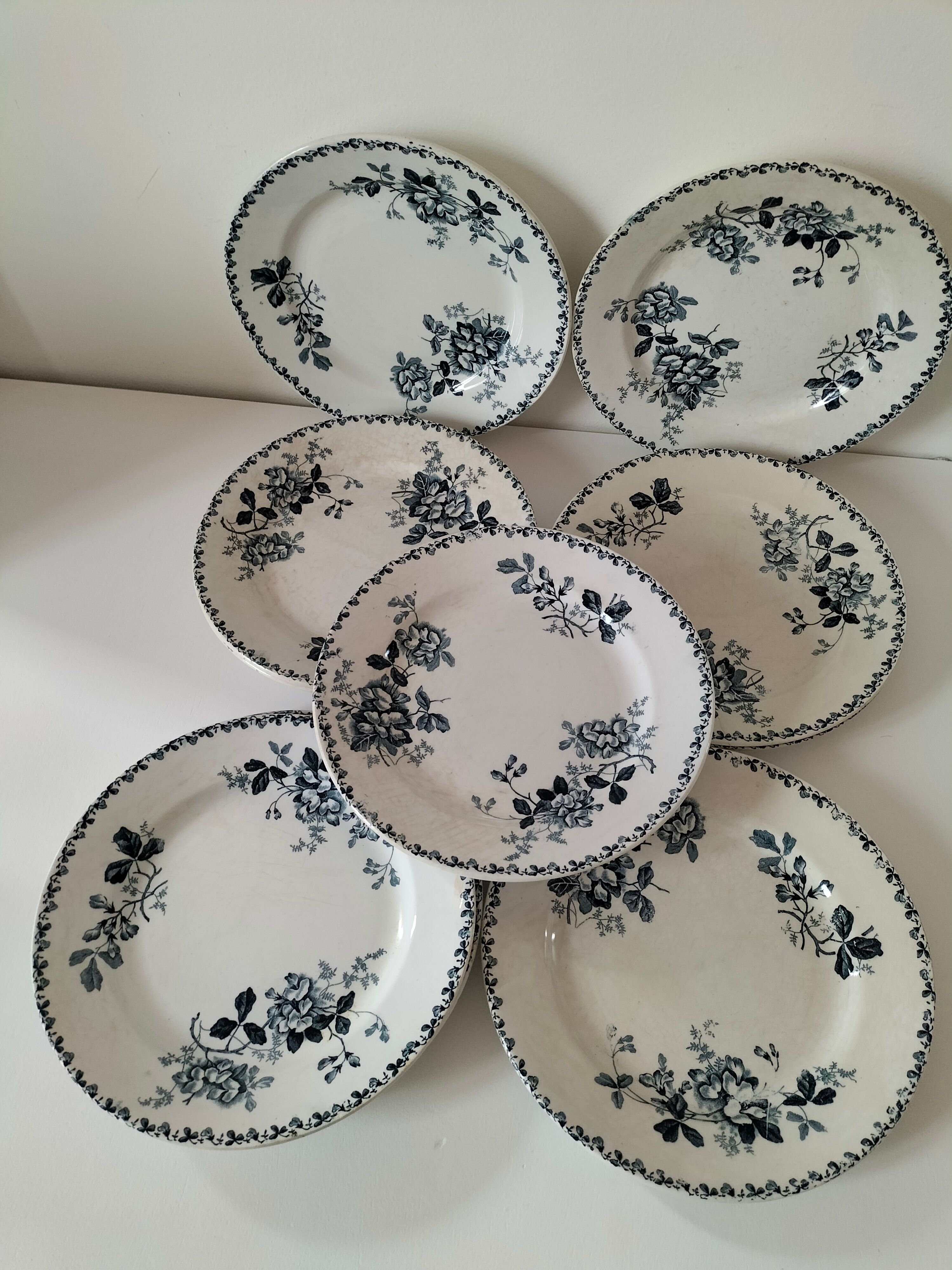 Set of 10 ironstone plates Moulin des Loups Acacia