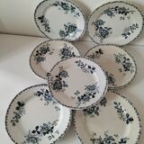 Set of 10 ironstone plates Moulin des Loups Acacia