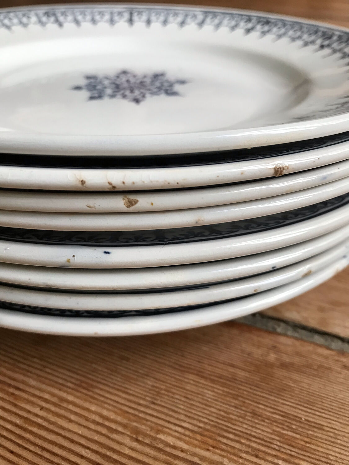 Series of 8 flat plates "PRIMAX"