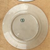 4 Plates with mismatched fruity patterns