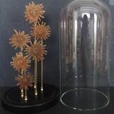 Cabinet of Curiosities globe with starfish heliaster kubiniji