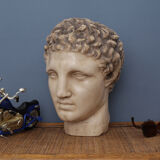 Greek head in waxed plaster