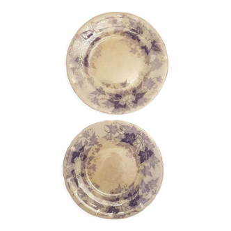 Set of 2 plates U&C Sarreguemines model Bryonia