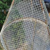 Old wrought iron aviary