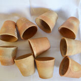 10 old seedling pots