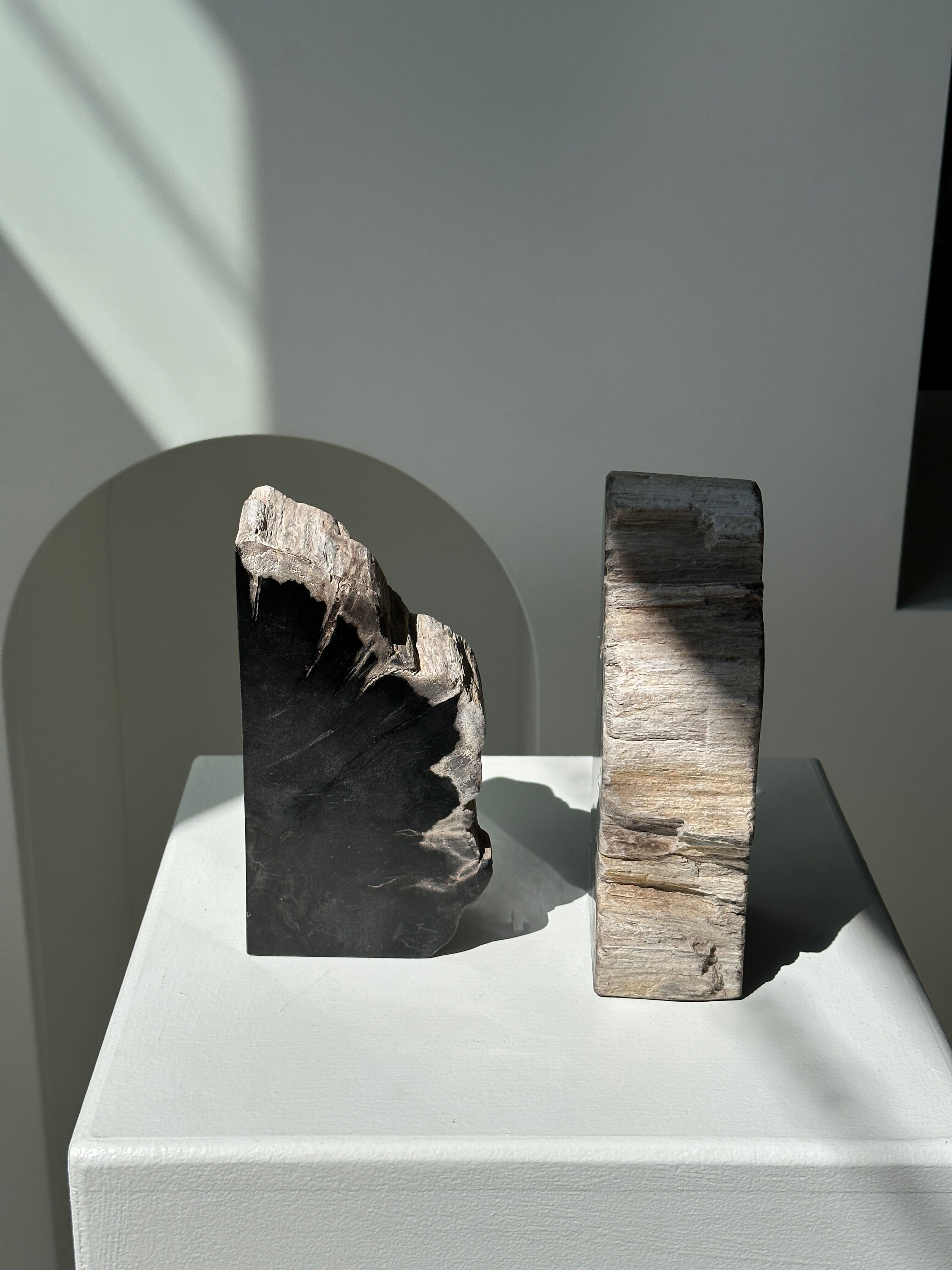 Black petrified wood bookend H17 L17 P6