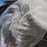 6 oyster plates and its 6 embossed glass forks, 1970s