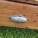 Farmhouse coffee table