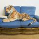 Colonial sofa two places in cannage and carved wood