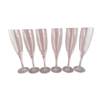 Champagne flutes Guy Degrenne 24 cm