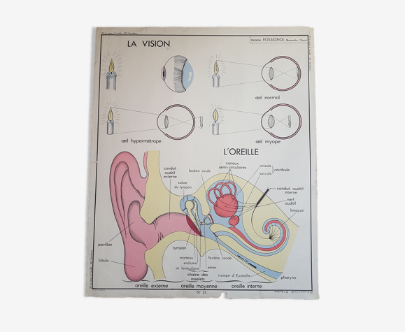 Affiche scolaire vintage 2 faces