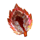 Autumn leaf dish Vallauris